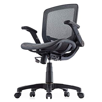 Image Unavailable. Image not available for. Color: Metrex Mesh Office Chair